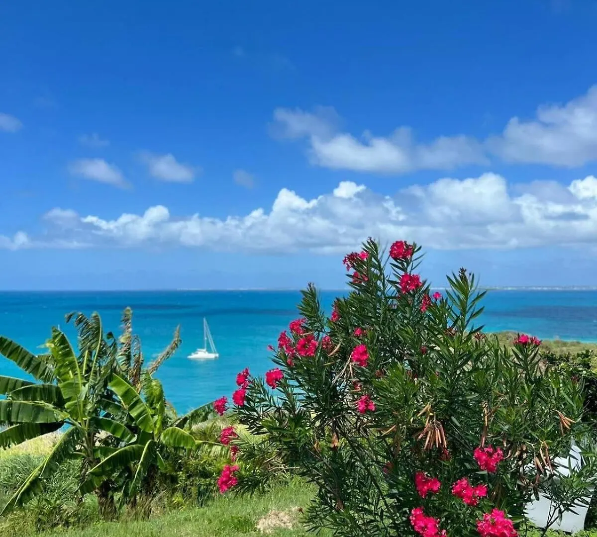 Mont Choisy Vue Imprenable Sur La Mer Et Spa 2Bdcanape Grand Case