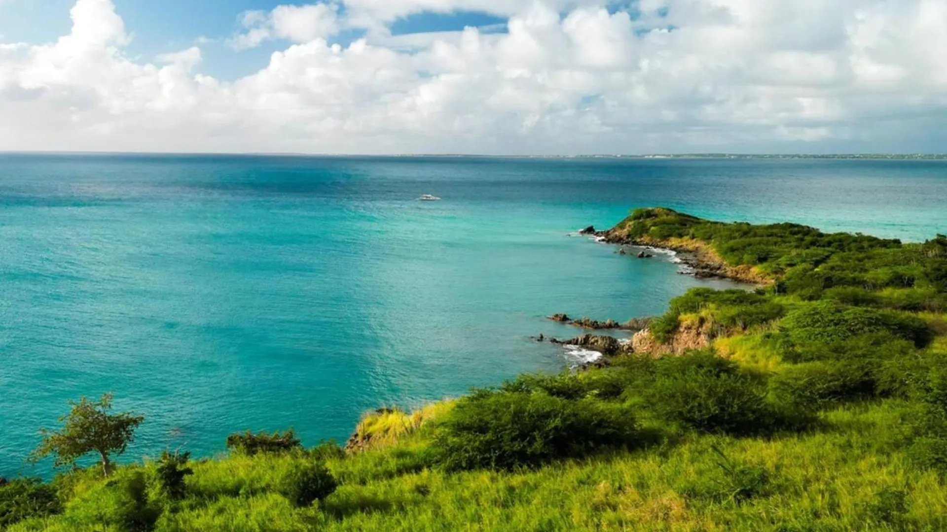 Lägenhet Mont Choisy Vue Imprenable Sur La Mer Et Spa 2Bdcanape Grand Case